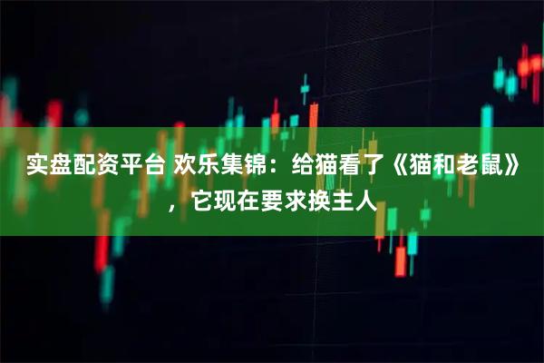实盘配资平台 欢乐集锦：给猫看了《猫和老鼠》，它现在要求换主人